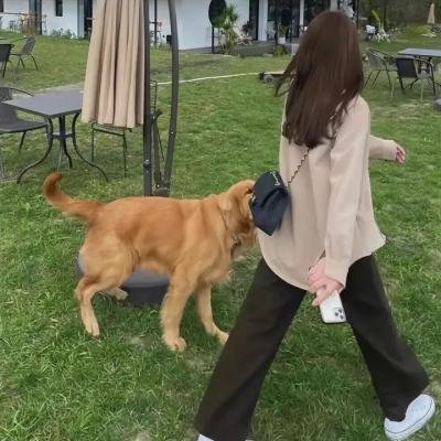 上帝的婚礼